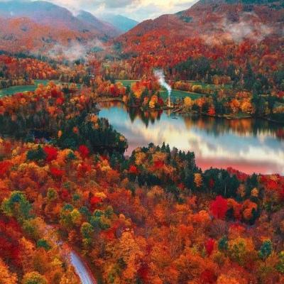 香港最准资料免费公开手机app下载