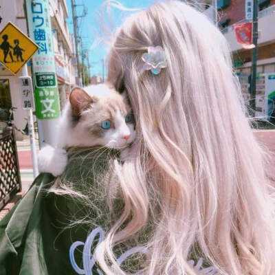 云平台app下载手机版