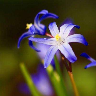 博鱼app下载手机版