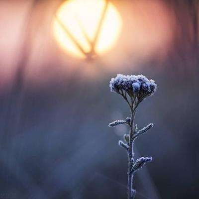 ayx体育在线登录app下载